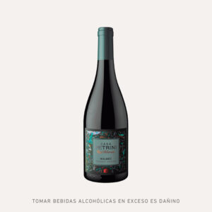Roca Volcánica - Casa Petrini 2019